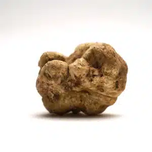 Witte Truffel